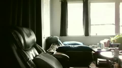 caligrown1154 online show from July 20, 2:41 pm
