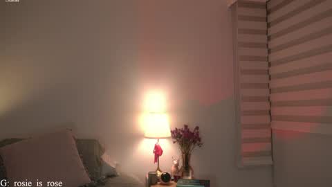 Snapshot of call_me_rosie chatting on April 1, 12:22 am online show from April 1, 12:22 am