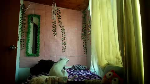Snapshot of callme_lolas chatting on March 25, 9:54 pm paula online show from March 25, 9:54 pm
