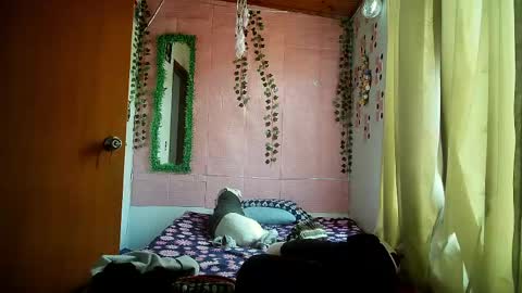 Snapshot of callme_lolas chatting on April 20, 9:16 pm paula online show from April 20, 9:16 pm