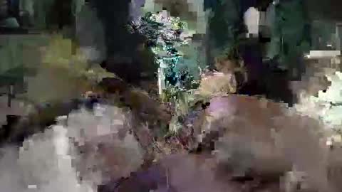 Snapshot of cameronrays chatting on April 25, 11:57 pm CameronRays online show from April 25, 11:57 pm