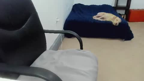 Cami online show from July 10, 8:33 pm