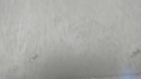 Snapshot of camilahunter__ chatting on June 10, 2:56 am Camila online show from June 10, 2:56 am