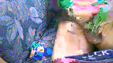 7777 online show from March 2, 7:45 pm