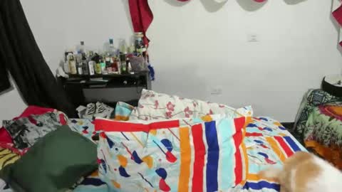 Snapshot of candlexx_ chatting on February 10, 3:35 am candlex online show from February 10, 3:35 am