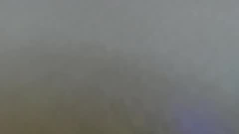 CocknAss online show from January 15, 7:35 am