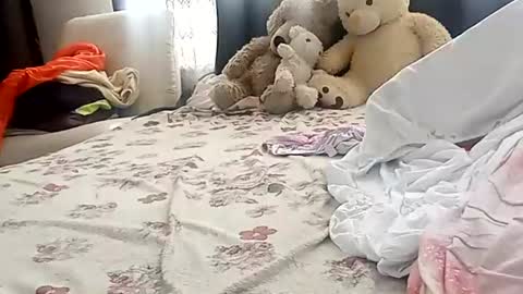LILI online show from June 23, 12:47 pm
