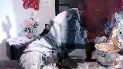 Snapshot of carliecreams chatting on March 13, 2:45 pm Carlie online show from March 13, 2:45 pm
