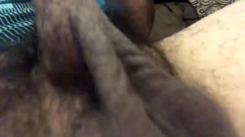 carlitos34m906127 online show from February 7, 8:51 am