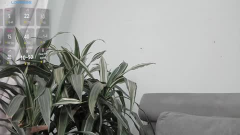 carolina_t online show from January 22, 12:59 am