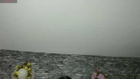 Camelia online show from November 4, 3:16 am