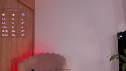 carolinna_ online show from May 29, 12:30 am