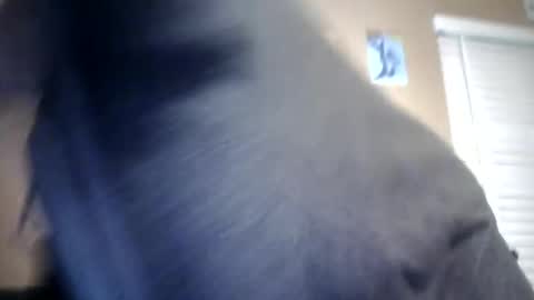 Snapshot of carsonlueders8775 chatting on January 13, 1:56 am carsonlueders8775 online show from January 13, 1:56 am