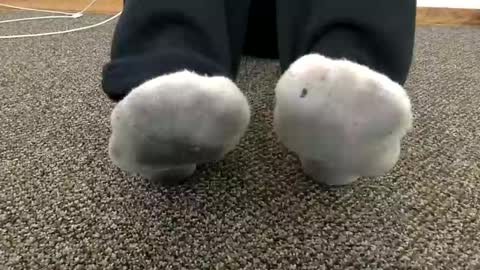 cash13bychanel online show from November 14, 7:34 pm