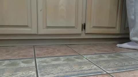 cash13bychanel online show from December 22, 7:44 pm