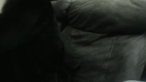 casidy1 online show from January 23, 10:32 am