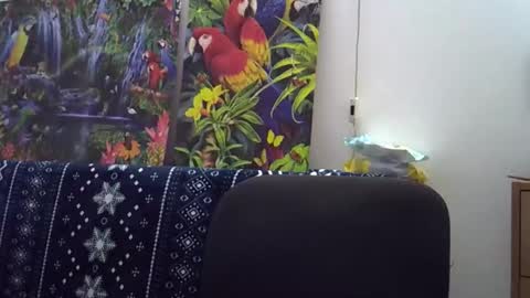 Cassandra online show from December 5, 1:42 pm