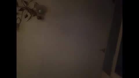 Snapshot of cassandra1986 chatting on December 15, 4:39 am cassandra1986 online show from December 15, 4:39 am