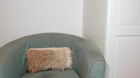 Snapshot of cassieandmarco chatting on March 26, 8:47 pm cassiecute - onlyfans account online show from March 26, 8:47 pm