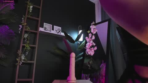 assie online show from February 2, 2:59 am