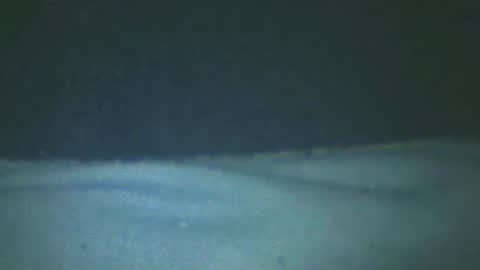 castells online show from February 20, 5:18 pm