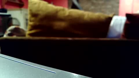 castration40 online show from October 17, 8:39 am