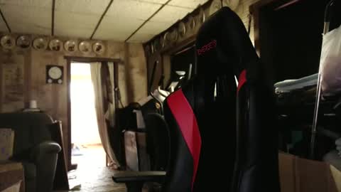 cat online show from October 24, 4:25 pm