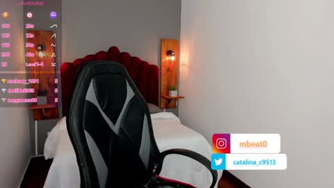 Catalina online show from January 8, 3:17 pm