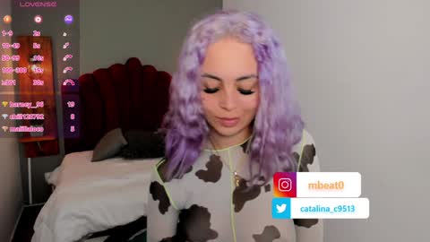 Catalina online show from January 20, 3:39 pm