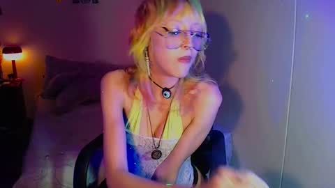 Cat online show from September 11, 5:07 am