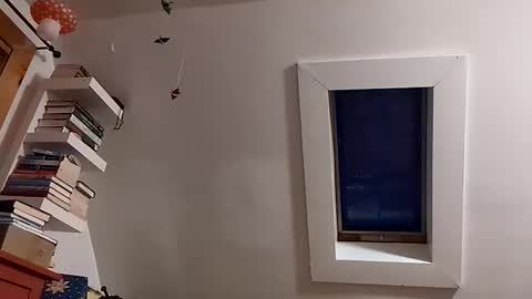 Snapshot of cbgbabc chatting on February 14, 11:07 am cbgbabc online show from February 14, 11:07 am