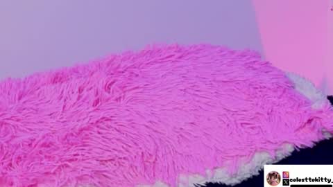 Snapshot of celestte_evans_1 chatting on December 5, 7:39 am celestte_evans_1 online show from December 5, 7:39 am