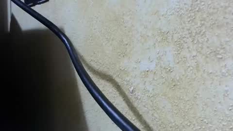 celhoduro23c online show from November 28, 8:55 pm