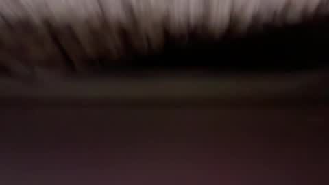 Snapshot of cenobitfor chatting on March 5, 12:01 pm cenobitfor online show from March 5, 12:01 pm