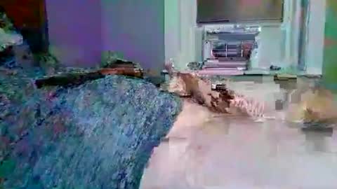 cervixpainter27 online show from November 3, 1:40 am