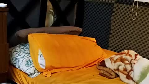 Snapshot of cezar46 chatting on September 18, 2:19 pm cezar online show from September 18, 2:19 pm