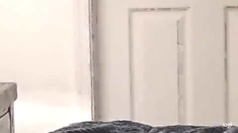 cfnmkinky28 online show from December 24, 3:05 am