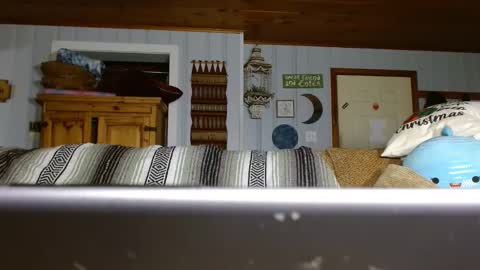 Snapshot of cguffey2284 chatting on December 29, 7:00 pm cguffey2284 online show from December 29, 7:00 pm