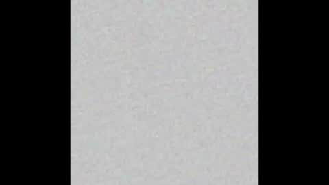 Lydong online show from December 3, 7:49 am