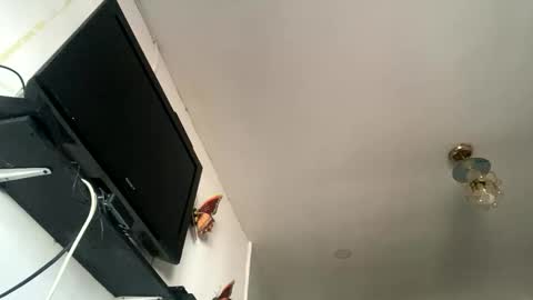 Snapshot of chanelfancy chatting on April 26, 1:09 pm chanelfancy online show from April 26, 1:09 pm