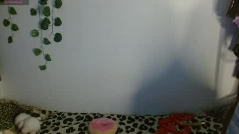 Ale punky online show from May 13, 2:53 am