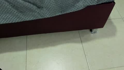 Charlott online show from December 13, 7:43 pm