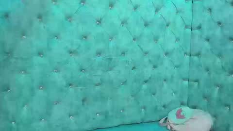 Snapshot of charlottestuart_ chatting on March 13, 4:24 pm charlottestuart_ online show from March 13, 4:24 pm