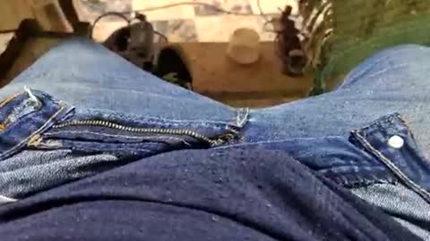 Parcero online show from September 14, 1:32 pm