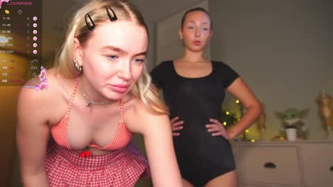 Snapshot of charming_daisy chatting on January 31, 3:30 am my fansly Charming daisy My Wishlist for new toys online show from January 31, 3:30 am