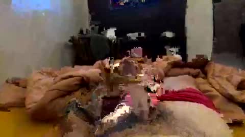 chasejase20333 online show from February 2, 2:10 am