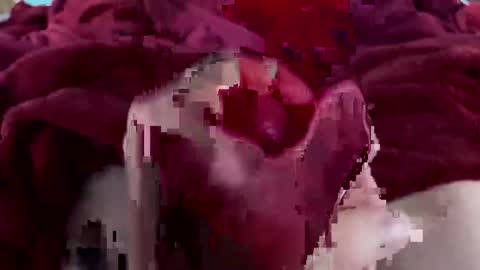 cheeseisnts online show from January 9, 9:38 pm