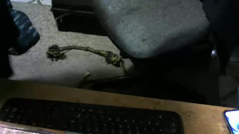 chefy online show from November 10, 10:14 am