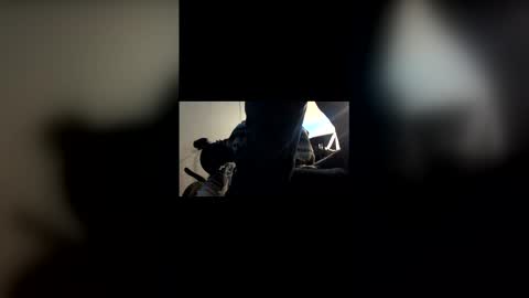 chenovich online show from March 30, 6:47 am