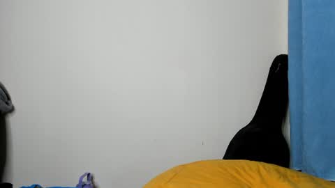 Snapshot of cherry_falls chatting on July 25, 10:29 pm cherry_falls online show from July 25, 10:29 pm